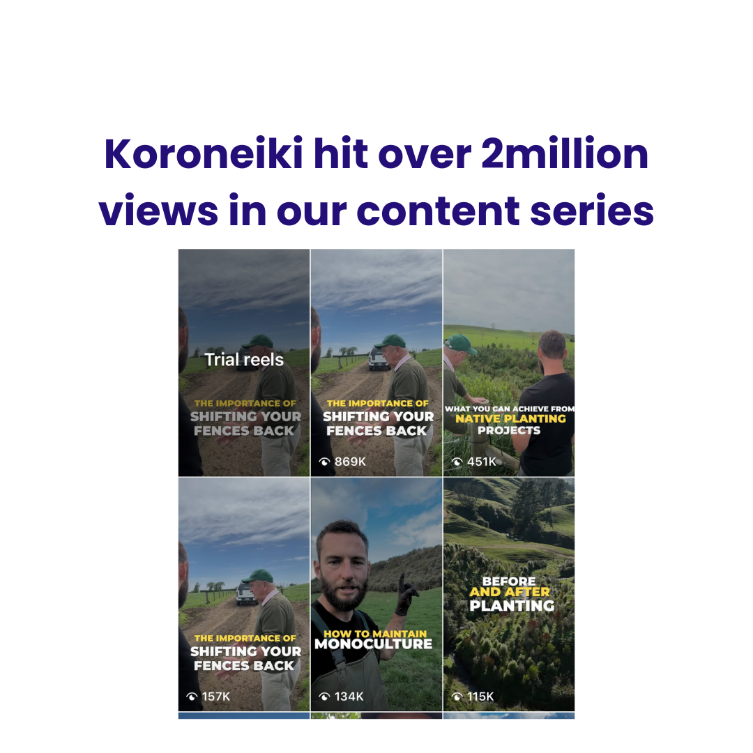 Real client result: Koroneiki 2 million+ views content series